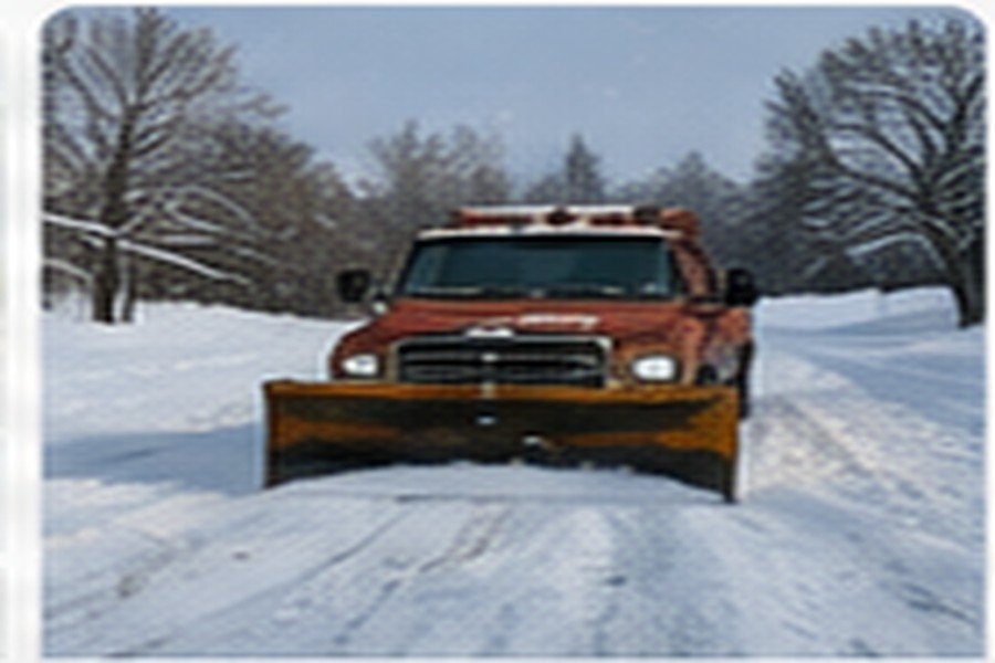 Seasonal services