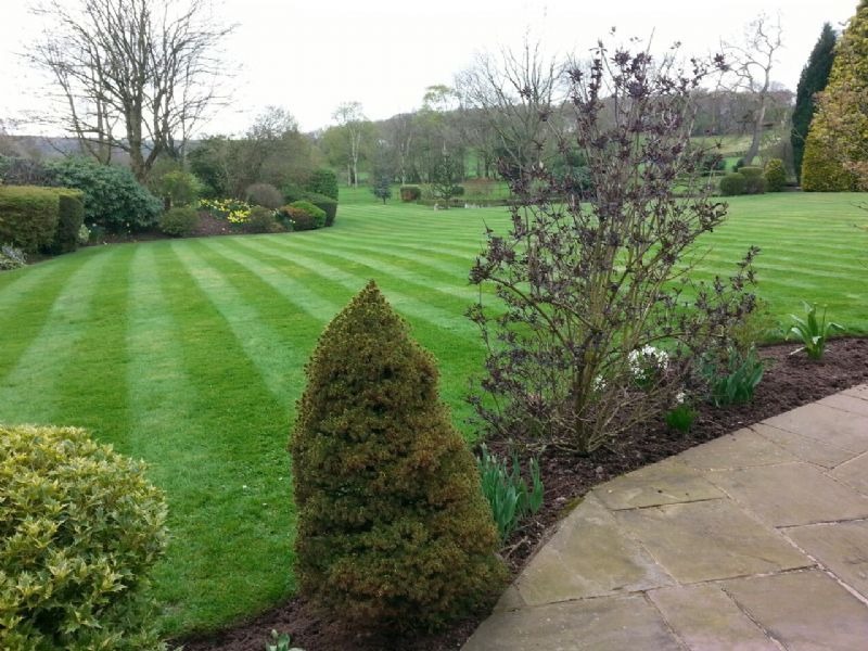 Professionally maintained lawn by Stratton’s