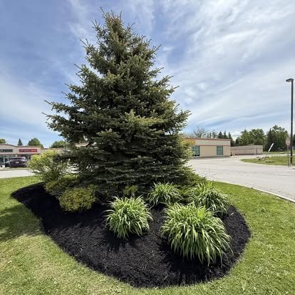 Accessible commercial parking markings by Stratton’s